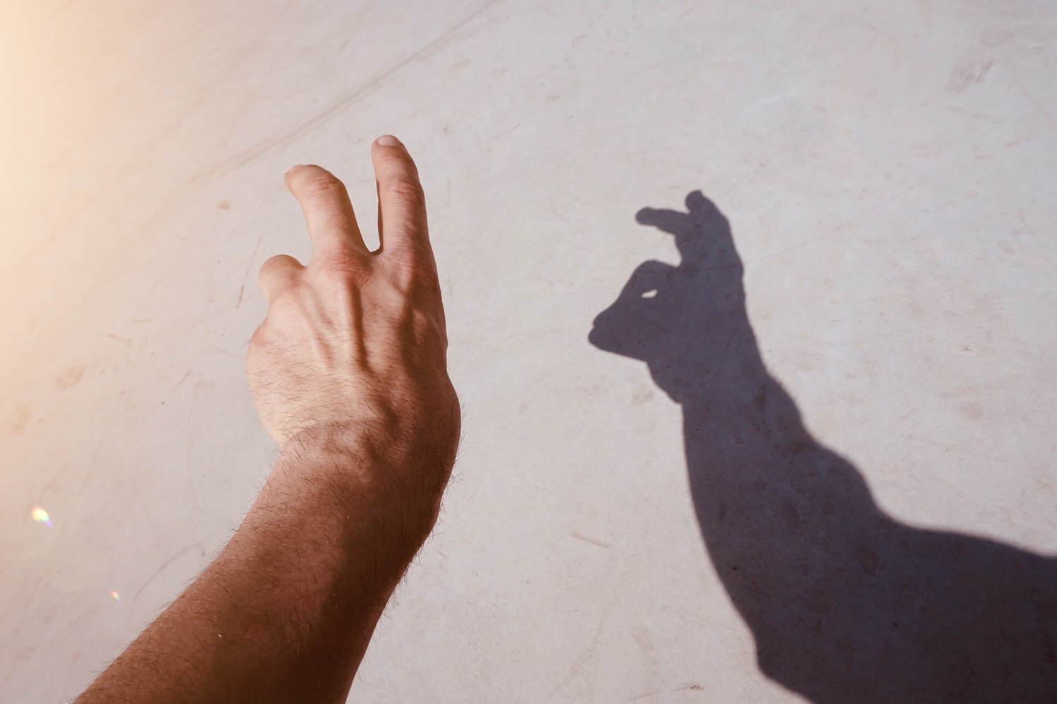 A human hand is held up to a screen. The shadow that falls is in the shape of a rabbit.