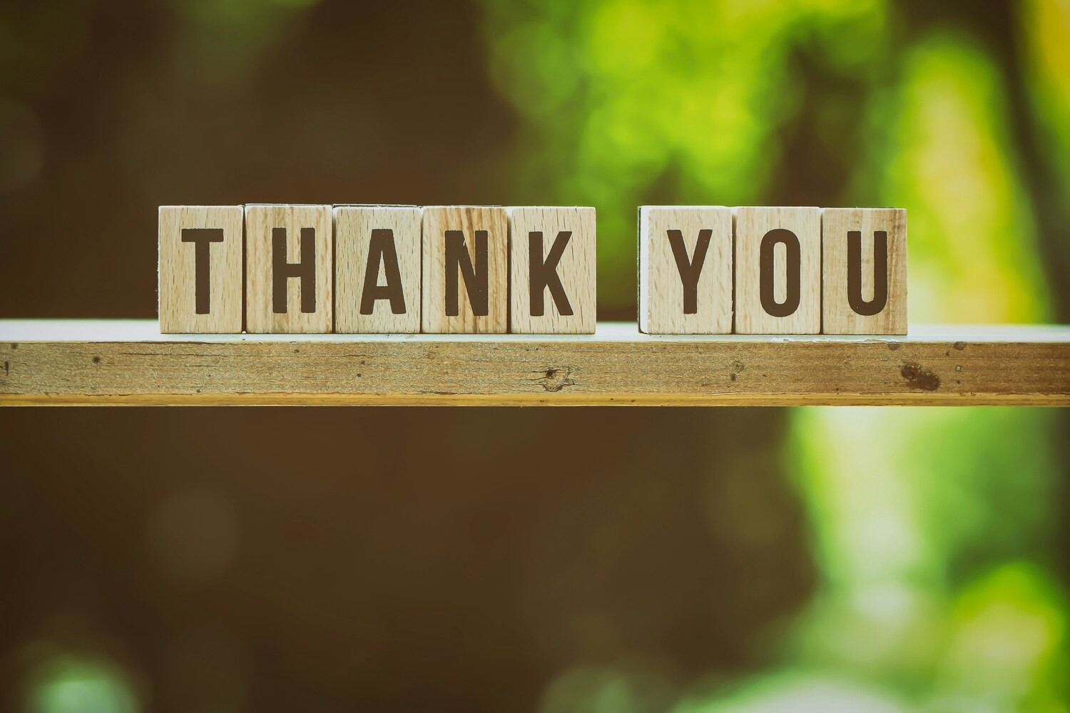 Wooden blocks spell out “THANK YOU.”