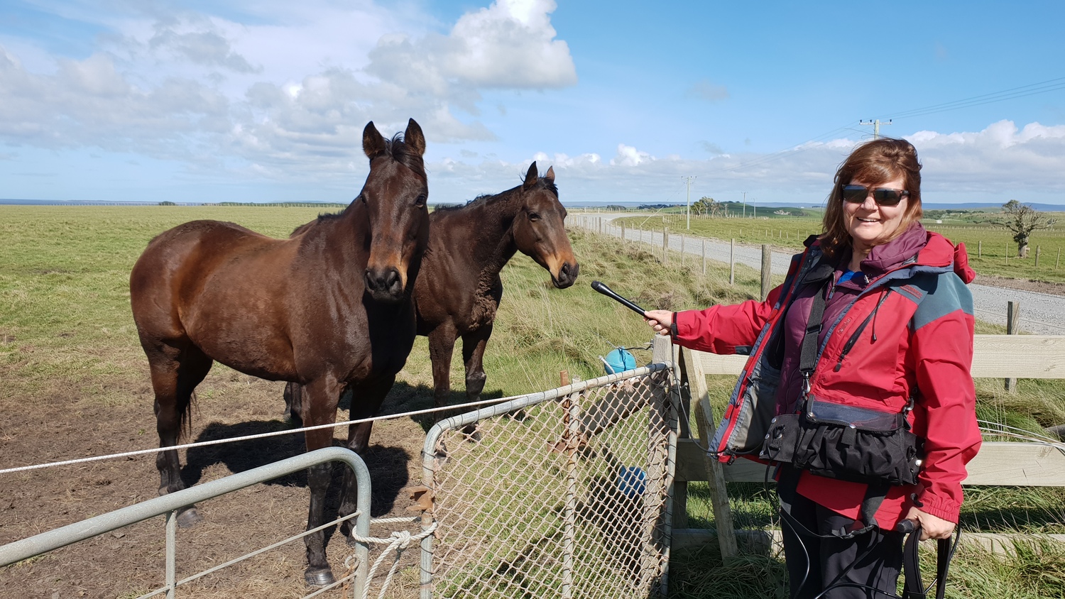 A woman in a red jacket and sunglasses with a bag over her shoulder faces the camera and holds out a microphone to two bay horses in a paddock behind a waist-high gate.