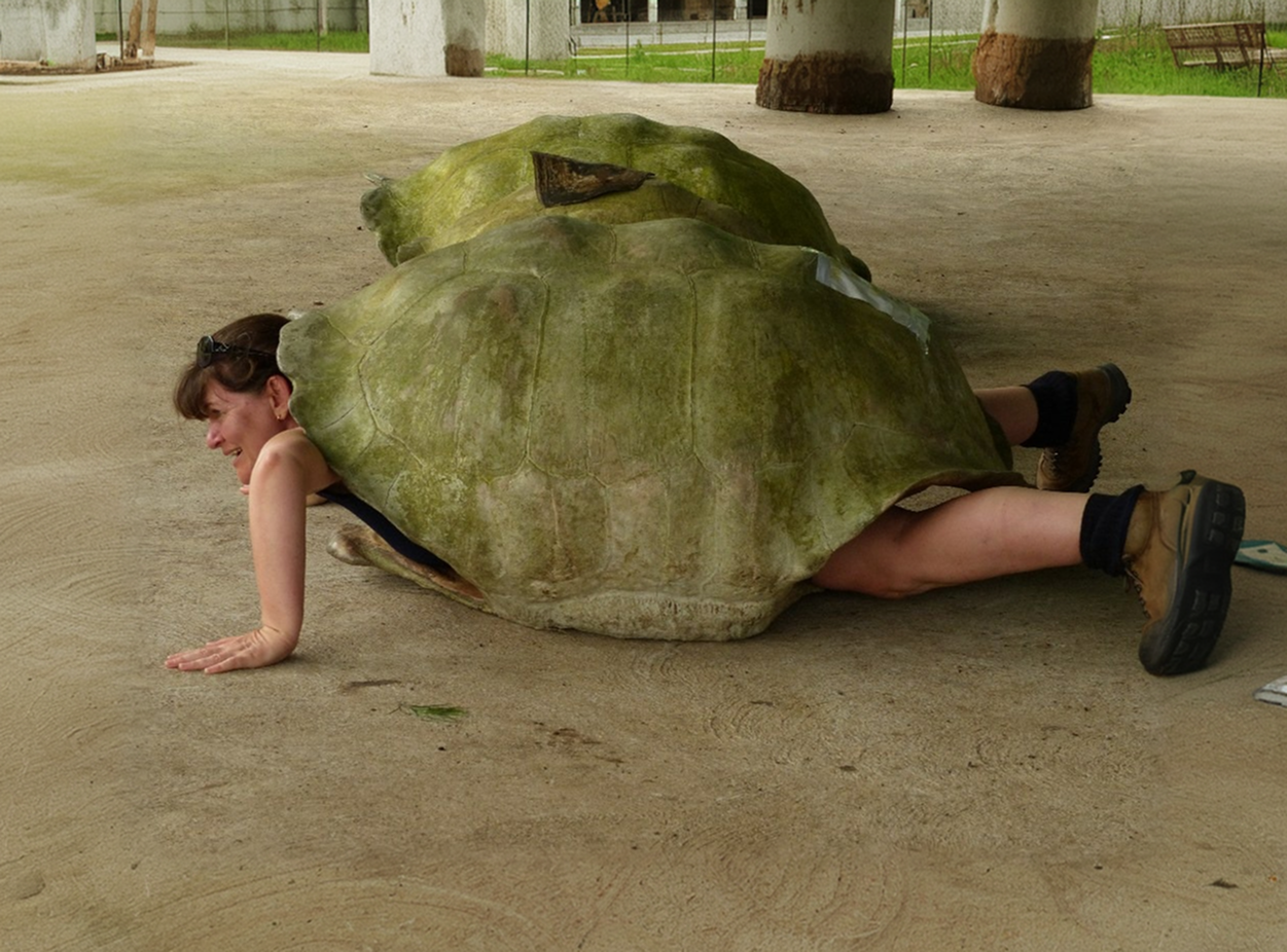 Women in giant tortoise shell