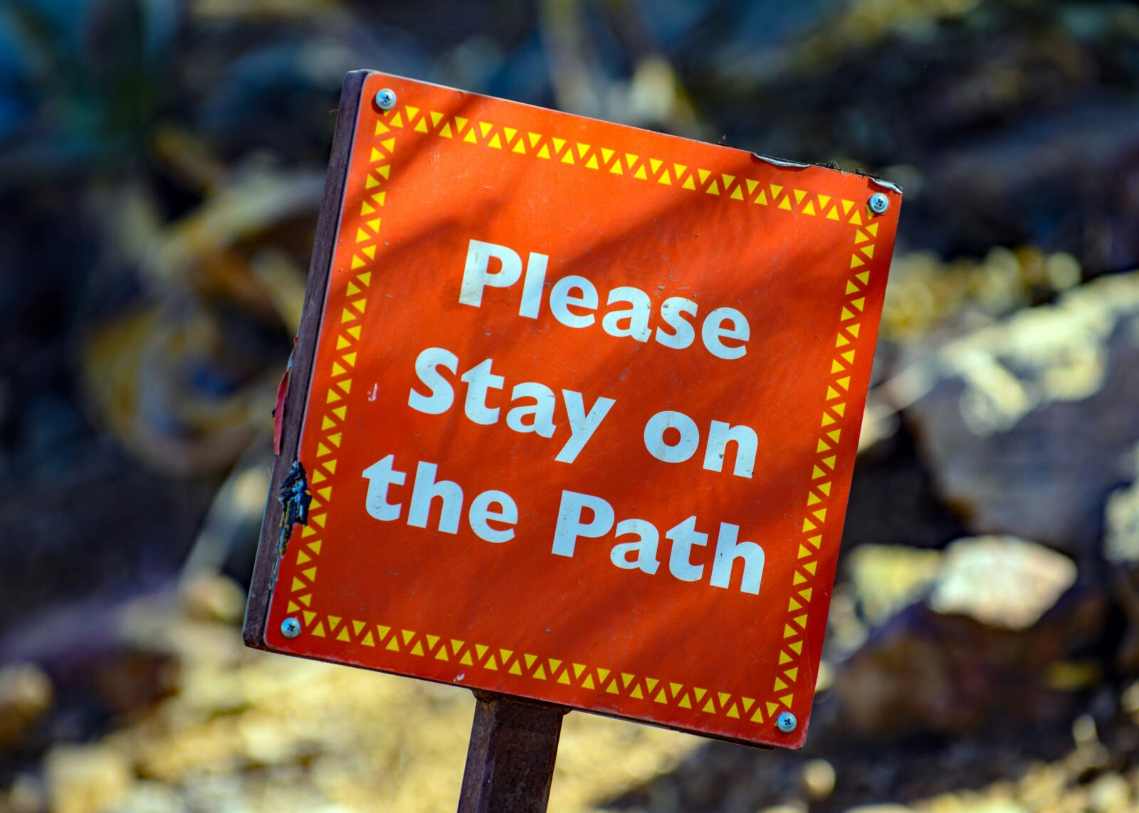 A tilted orange sign says “Please stay on the path”
